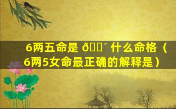 6两五命是 🐴 什么命格（6两5女命最正确的解释是）